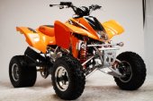 2010 Goes 450 X photo